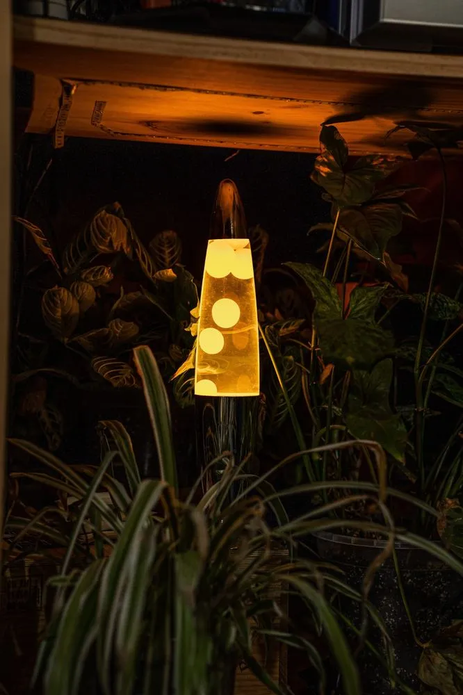 Une lampe à lave au milieu des plantes