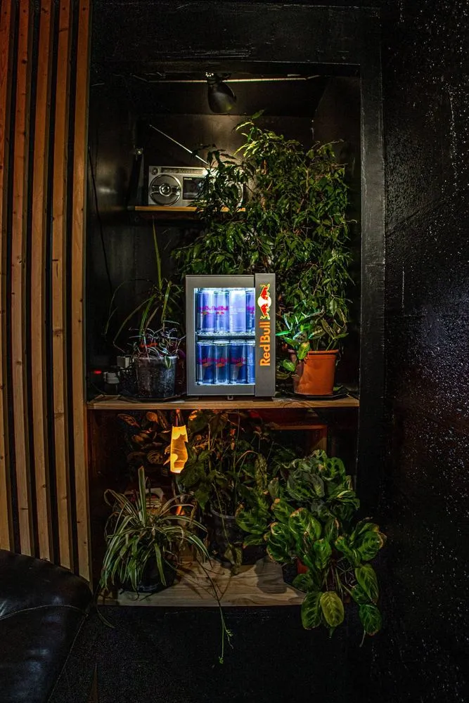 Le coin plantes et le petit frigo